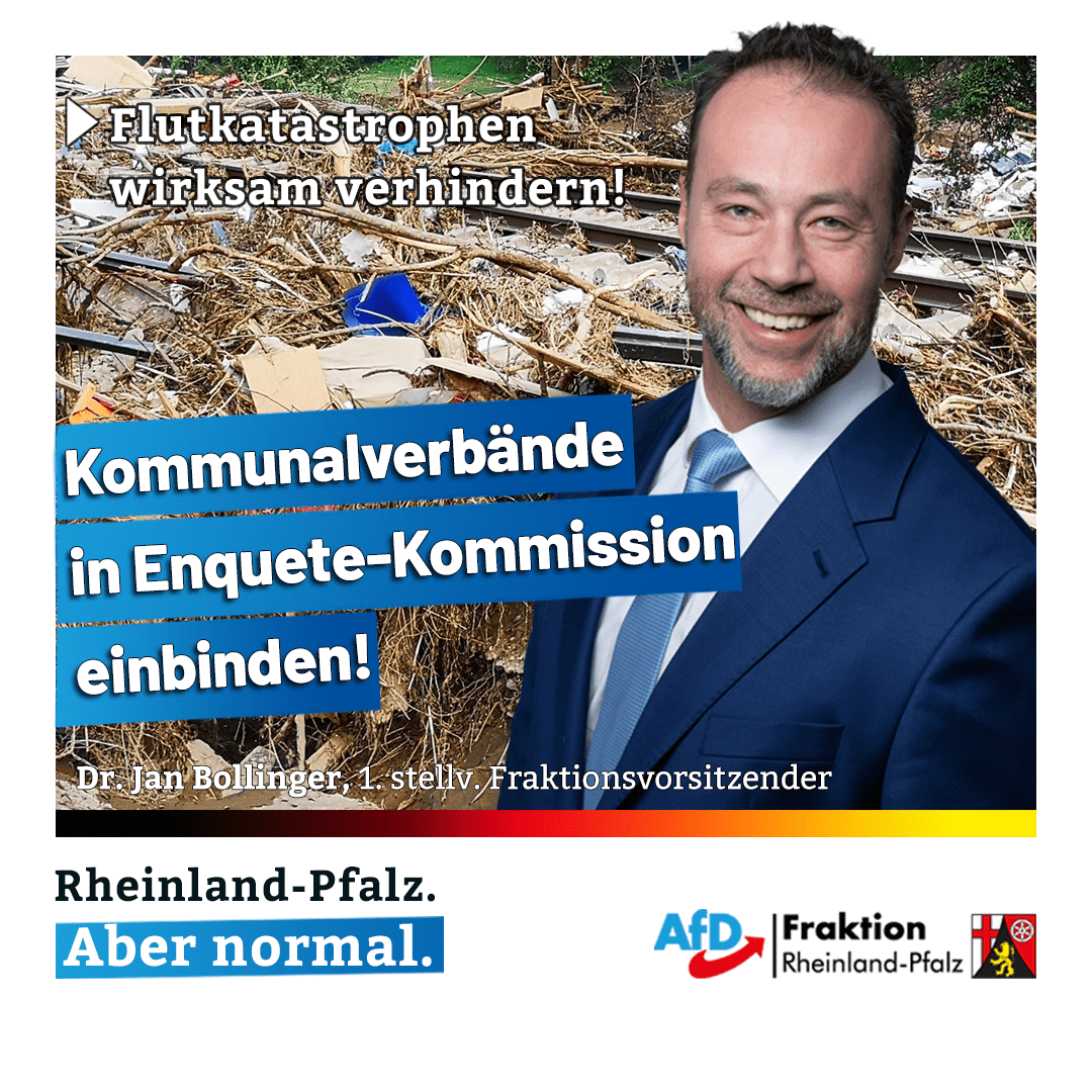 Dr Jan Bollinger AfD Kommunalverb nde Fest In Enquete Kommission 