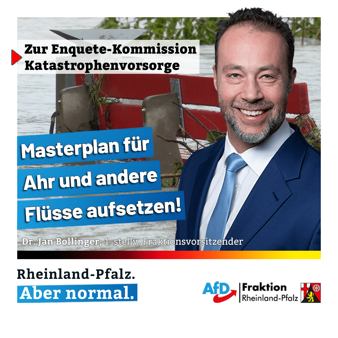 Dr Jan Bollinger AfD Fraktion Zur Enquete Kommission 